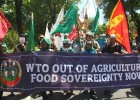 Tunduk Pada WTO, Omnibus Law Ancam Kedaulatan Pangan Nasional