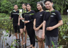 Derma Express Menanam Bibit Mangrove di Bulan Kasih Sayang